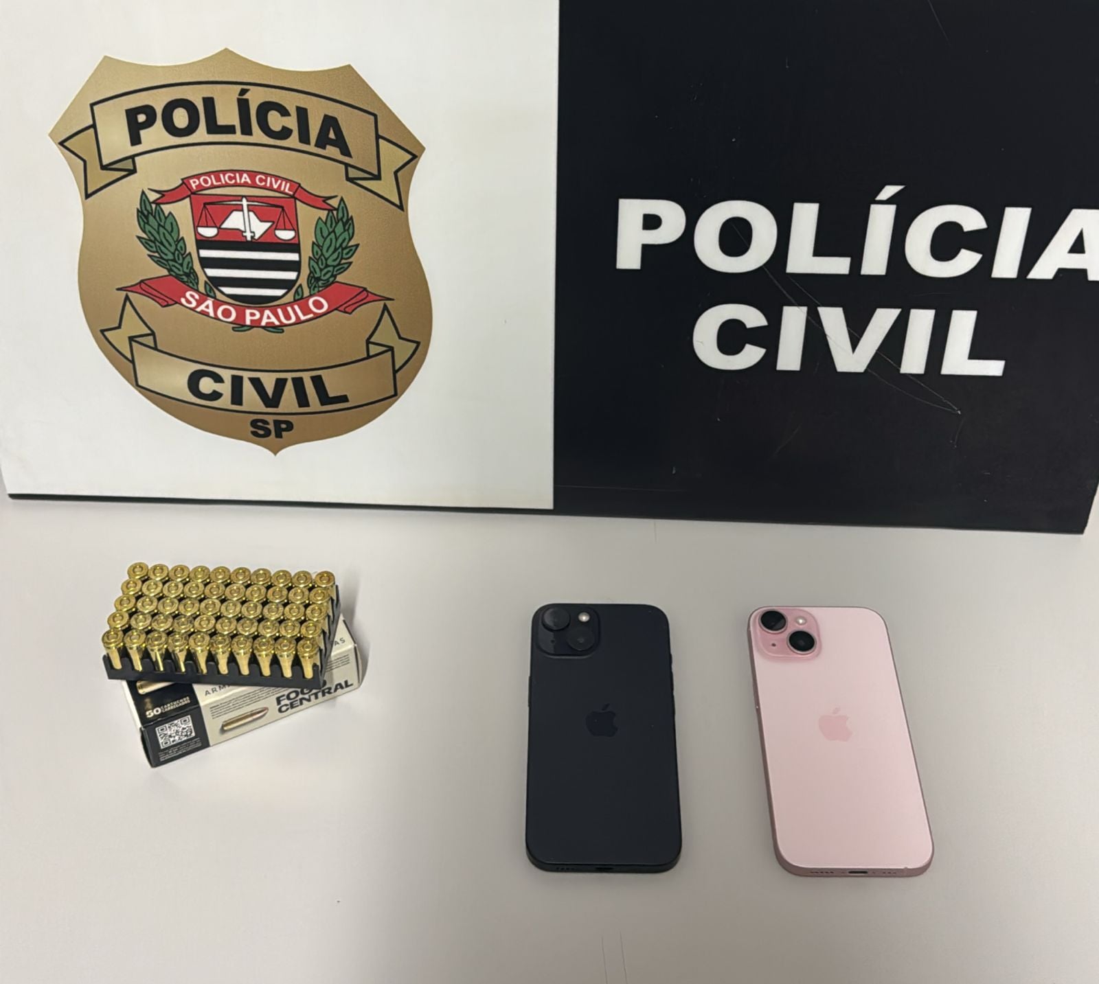 Polícia Civil realiza busca e apreensão em Iepê por prática de furto na zona rural