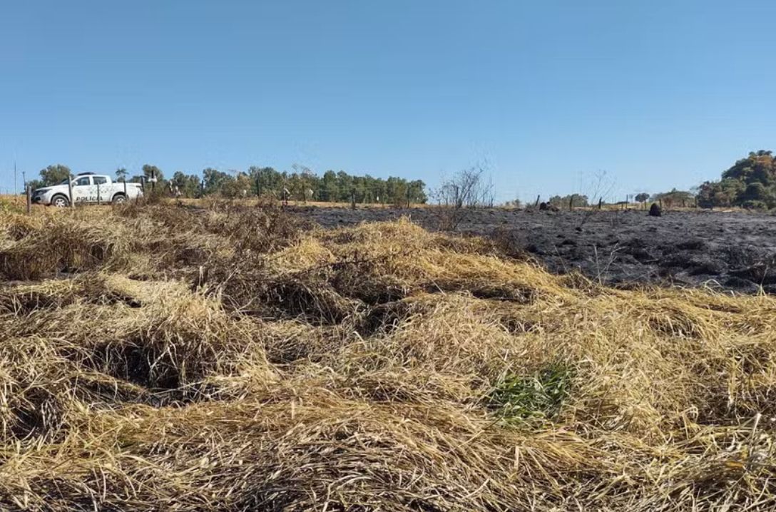 Idoso é multado após causar incêndio com fogos de artifício em Prudente