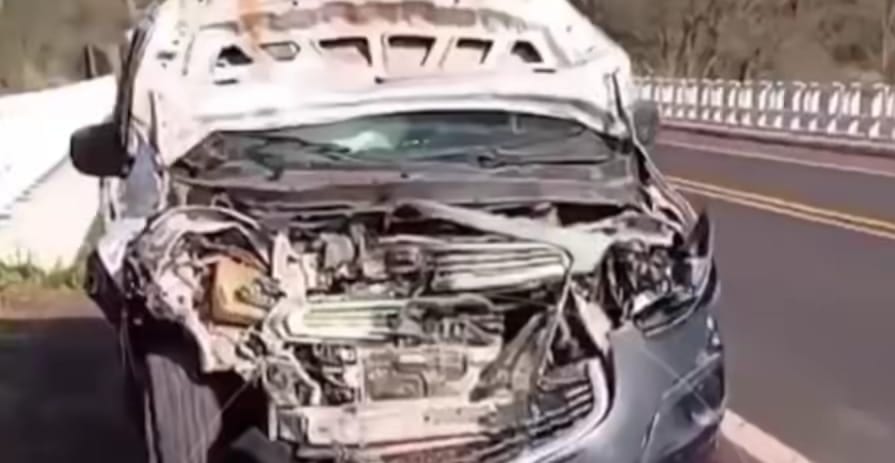 Viatura da Polícia colide com animal durante transporte de presos