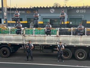 Polícia apreende 8 toneladas de maconha em Adamantina