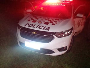 Mulher e presa por embriaguez e desacato em Prudente