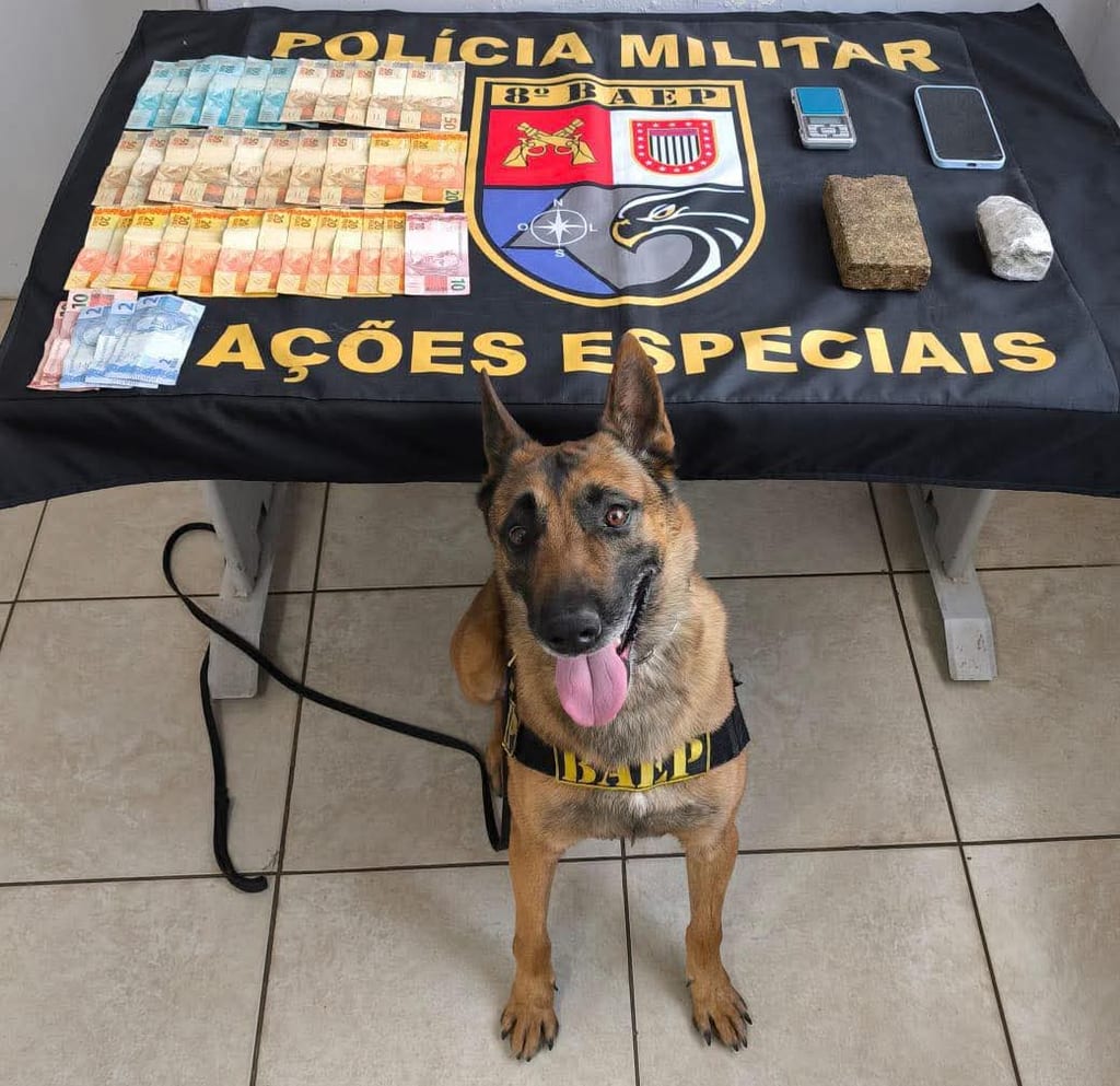 BAEP prende homem por tráfico de drogas em Prudente