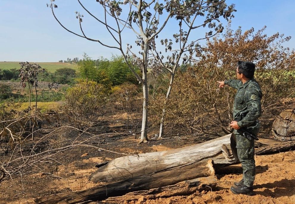 Usina é multada após incêndio atingir 61 hectares de cana