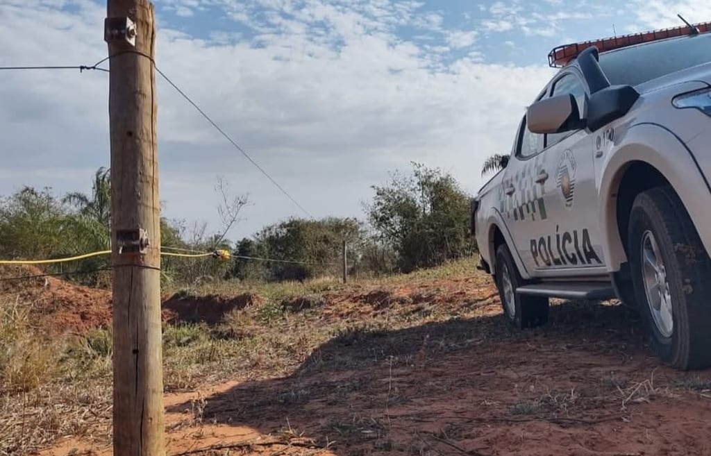 Gado invade reserva legal e proprietário é multado em Mirante