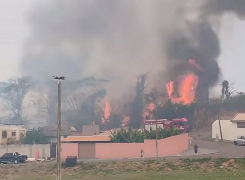 Incêndio consome área de mata no Parque Alexandrina em Prudente