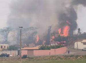 Incêndio consome área de mata no Parque Alexandrina em Prudente