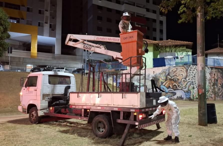 Defesa Civil remove enxame de abelhas no Parque do Povo