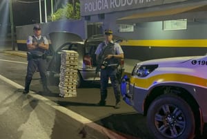 Polícia apreende 64,6 Kg de Maconha em Regente Feijó