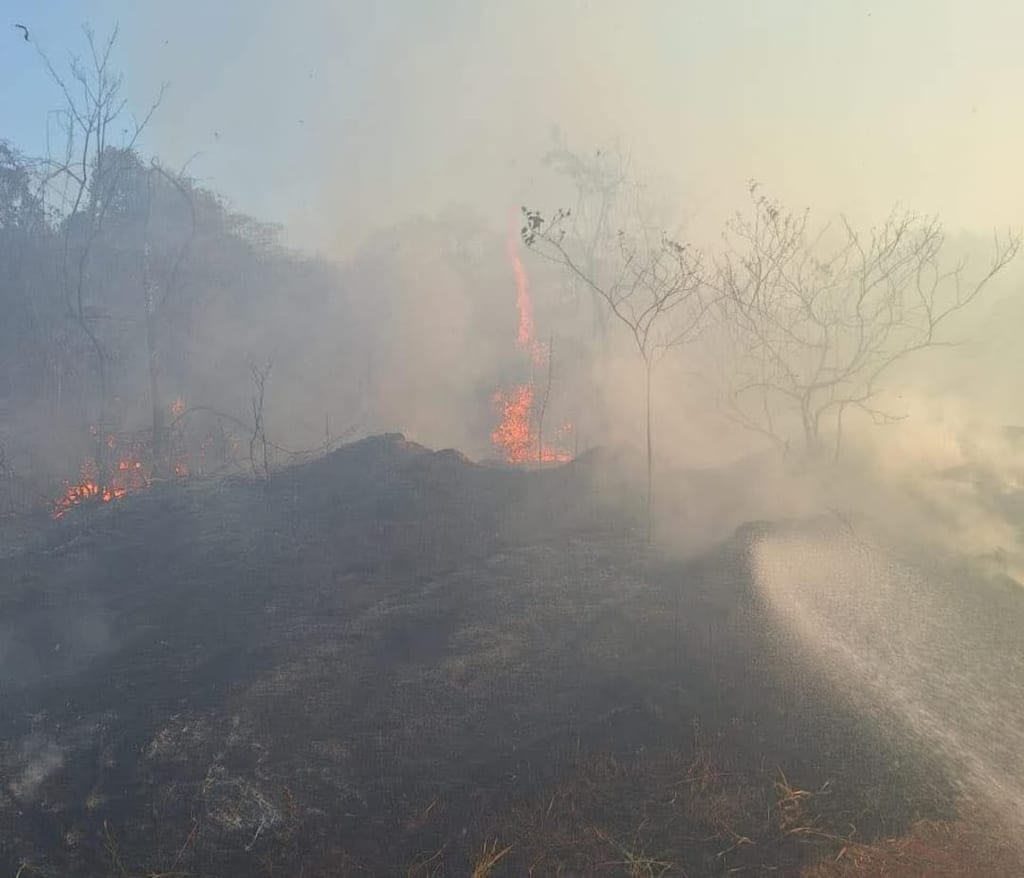 Incêndio atinge áreas de pastagem e preservação em Martinópolis