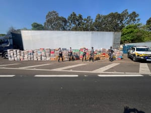 Polícia apreende quase 5 toneladas de maconha em Álvares Machado