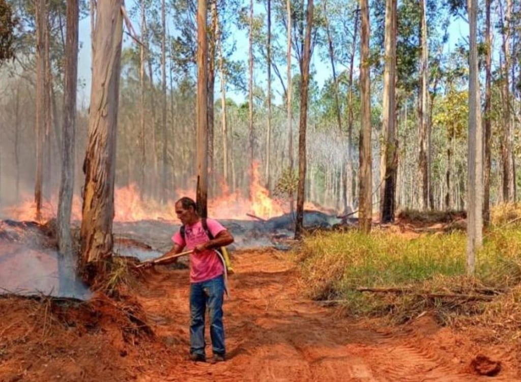 Incêndio em vicinal mobiliza Bombeiros e Defesa Civil em Anhumas