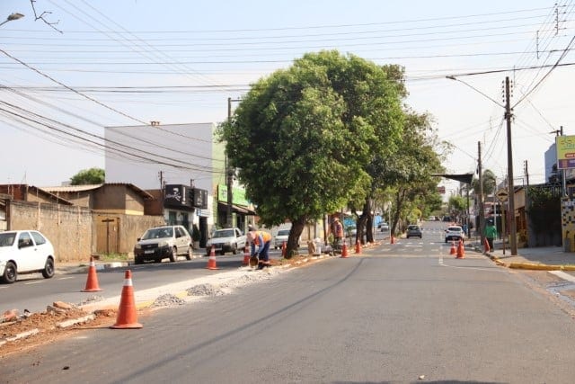 Avenida Paulo Marcondes é parcialmente interditada para retirada de árvores e obras de melhoria no trânsito