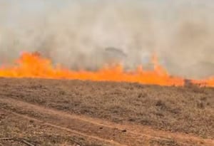 Incêndio mobiliza bombeiros e helicóptero Águia no bairro Ana Jacinta