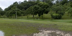 Brinca Prudente é adiado devido às condições climáticas