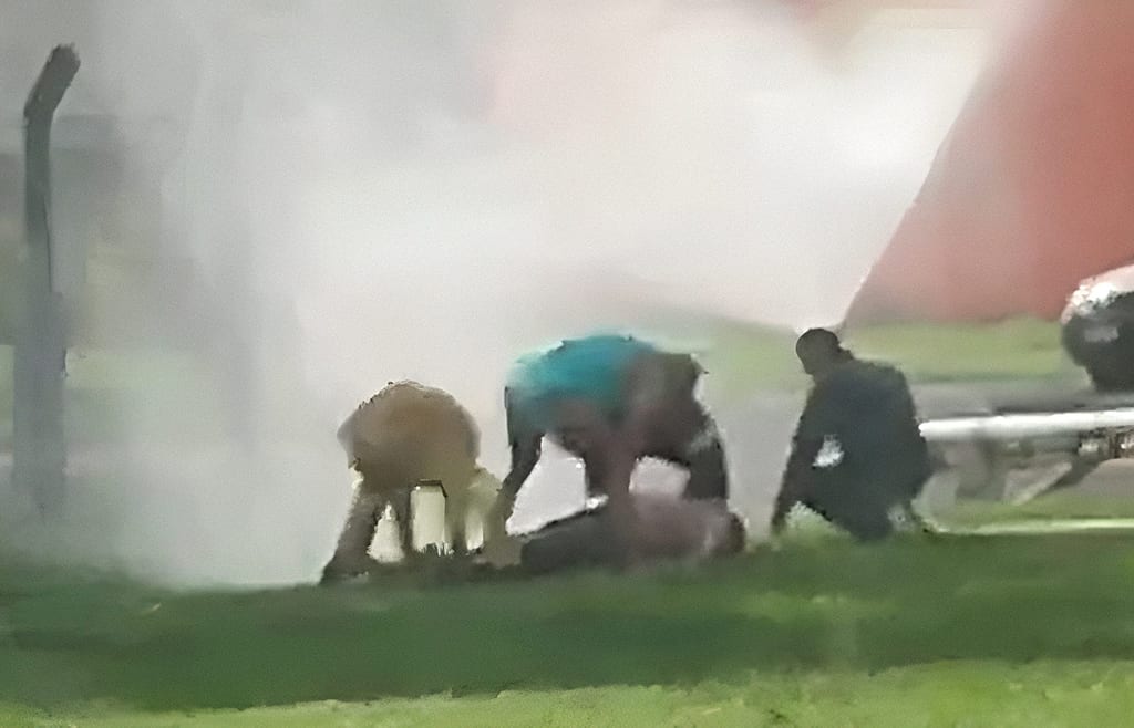 Ataque de abelhas causa morte de trabalhador e deixa outras pessoas feridas