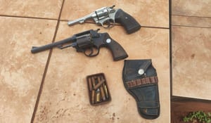 Idoso é detido por posse de armas após denúncia sobre criação de cobras em Emilianópolis