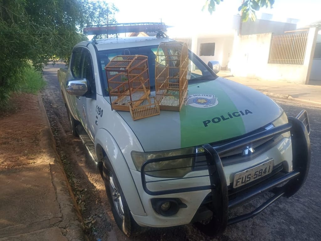 Homem é multado em R$ 5 mil por capturar aves silvestres em Presidente Bernardes