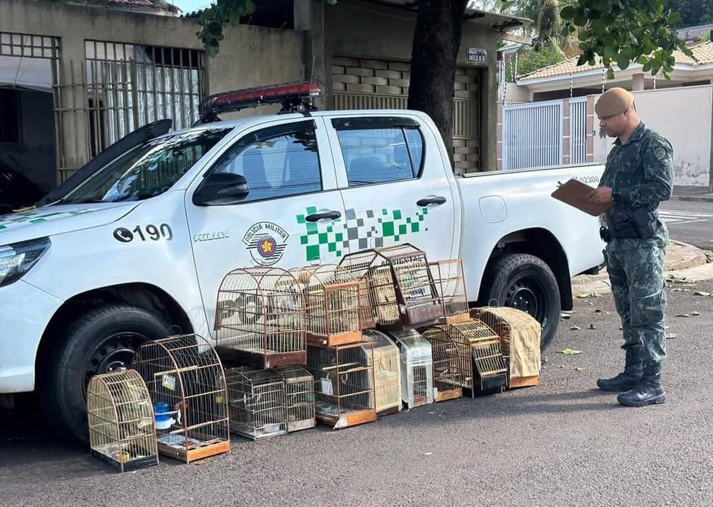 Idoso é multado em R$ 9 mil por manter 17 aves silvestres em cativeiro em Presidente Prudente