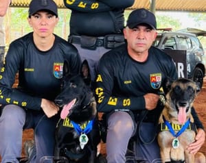 Equipe do 8º BAEP Canil conquista diversos prêmios no Campeonato Sul-Americano