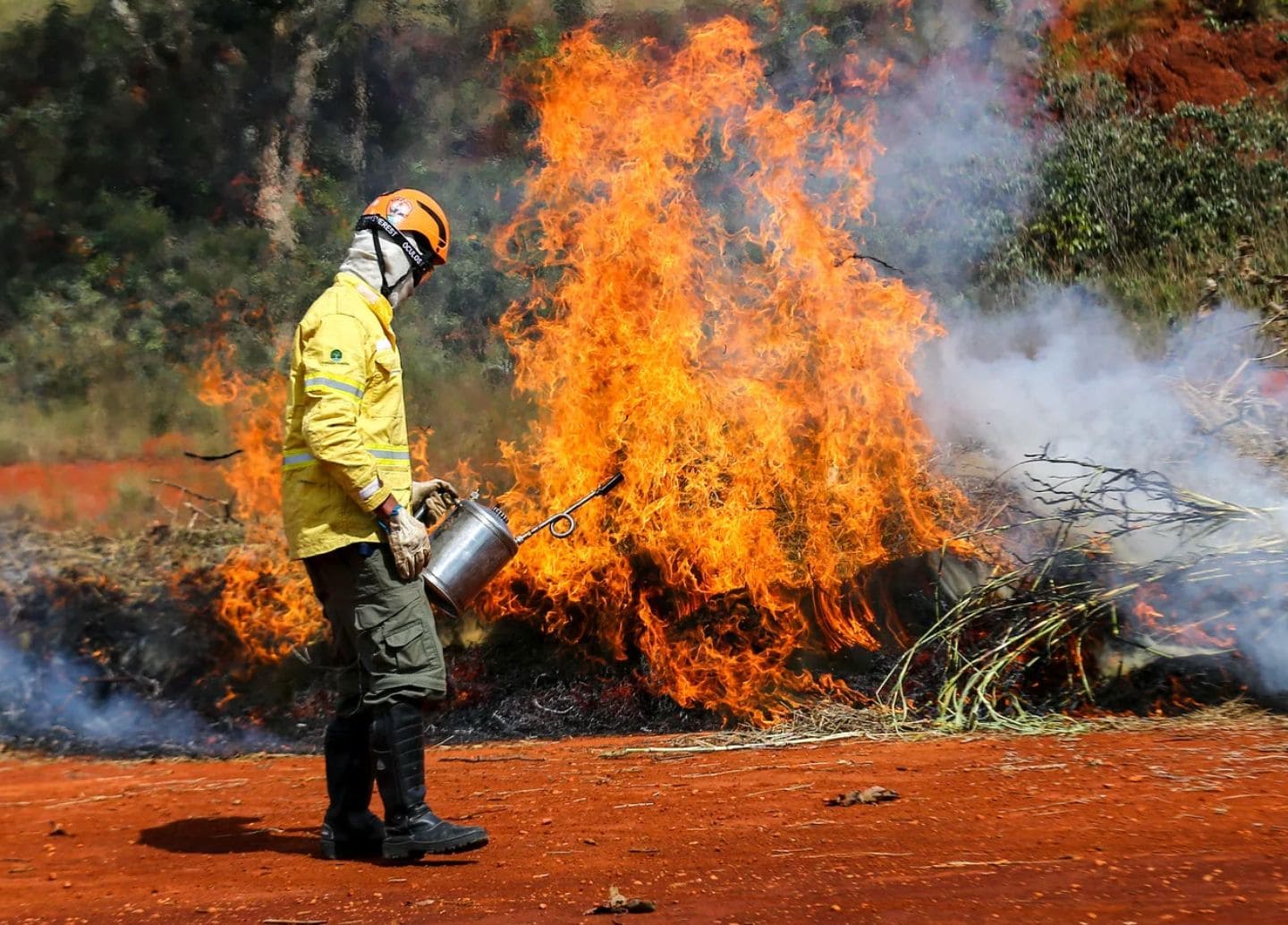 Defesa Civil alerta que 9 em cada 10 incêndios são causados por ação humana