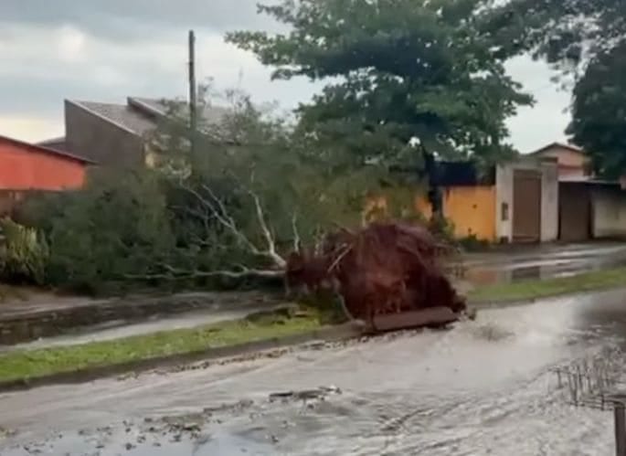Temporal causa estragos, derruba árvores e danifica imóveis em Teodoro Sampaio