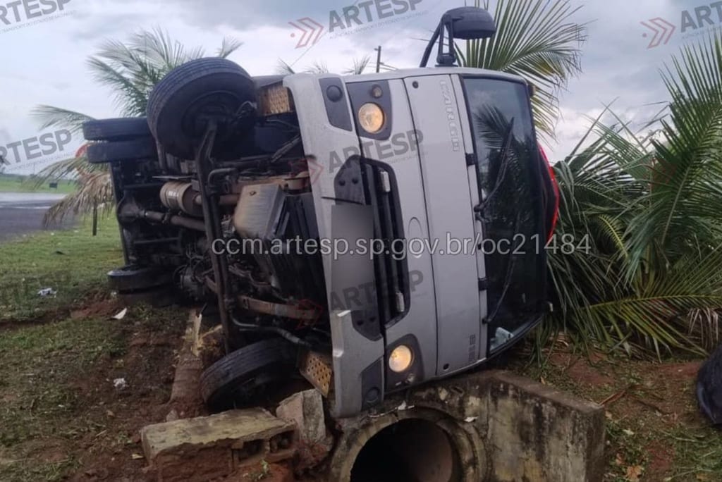 Motorista perde controle de caminhão, bate contra árvore e tomba. Foto: Concessionária EIXO SP
